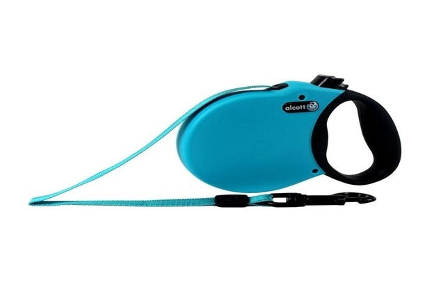 How to Buy Dog Accessories Online and Choose the Right Gear for Your Dog