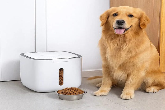 How to Choose the Right Pet Food Storage Containers for Everyday Use