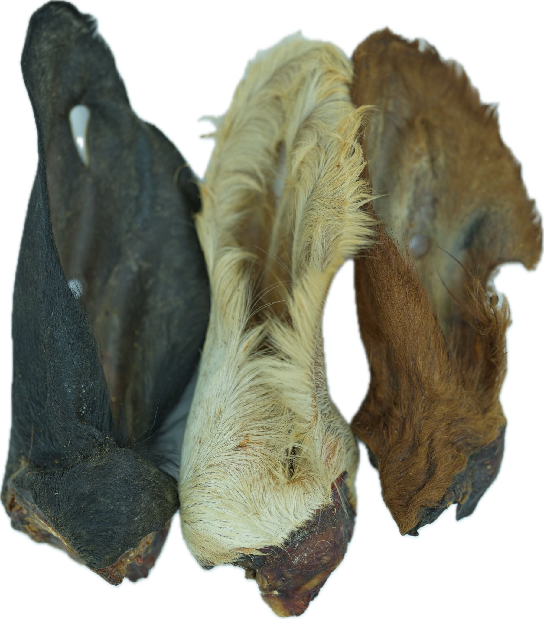 Natural Cow Ear with Hair Bulk (Pack of 16)