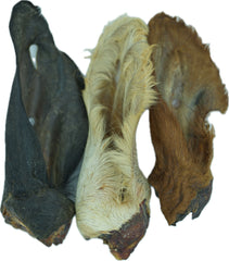 Natural Cow Ear with Hair Bulk (Pack of 16)