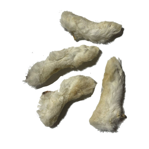 Rabbit Foot with Hair Bulk (Pack of 72)