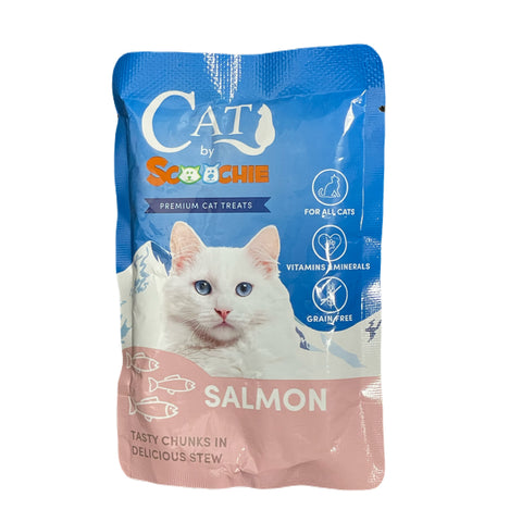 Clever Cat Food 3.5 Ounce Pouch - Salmon (Pack of 24)