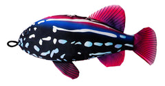 18" Scoochzilla Grouper (Pack of 4)