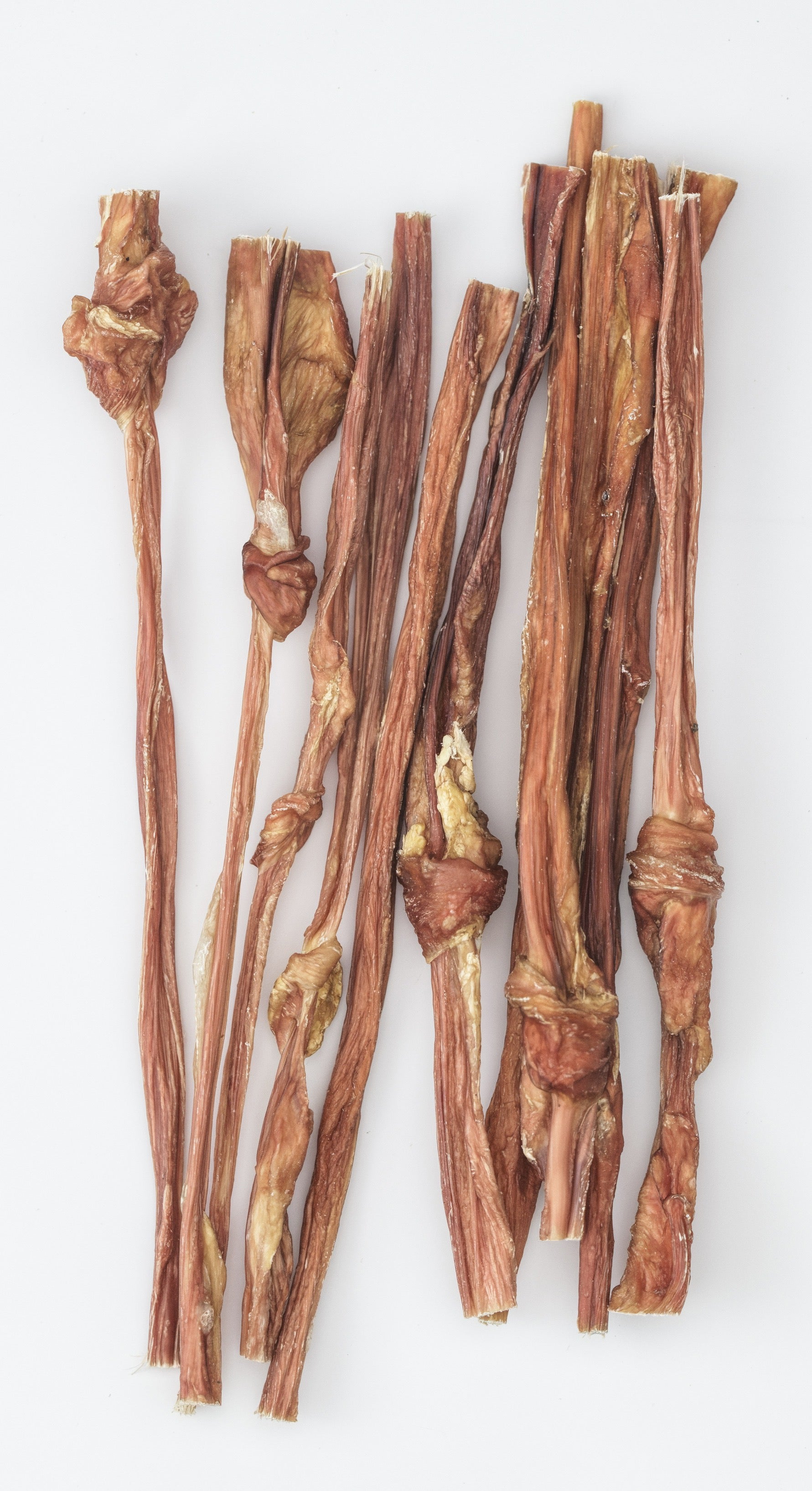 12 Inch Bladder Stick Bulk (Pack of 24)