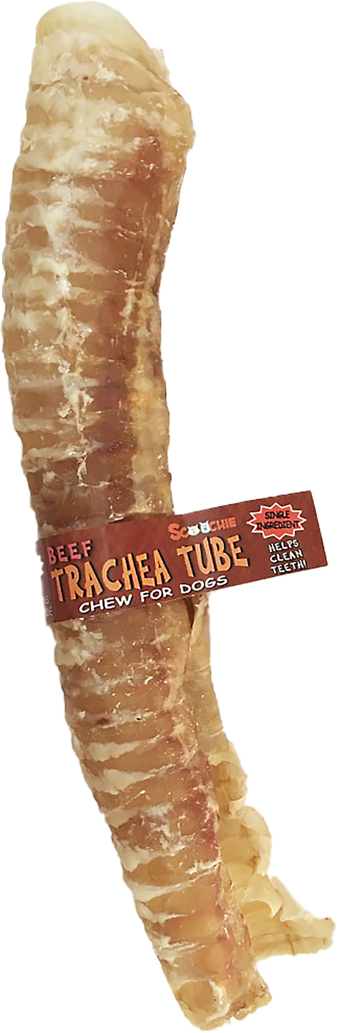 12 Inch Trachea Tube with Cigar Band and UPC (Pack of 10)