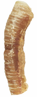 6 Inch Trachea Tube Bulk (Pack of 20)