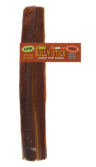 6 Inch JUMBO Bully Stick With Scoochie Cigar Band/UPC (Pack of 6)