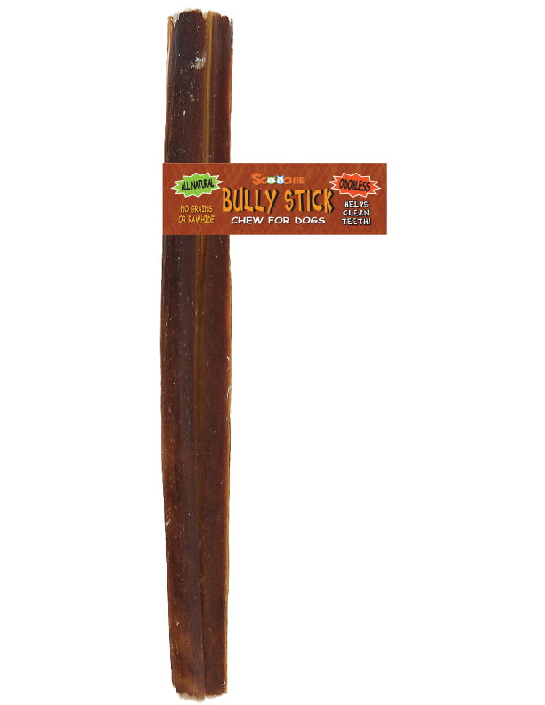 12 Inch Bully Stick With Scoochie Cigar Band/UPC (Pack of 5)