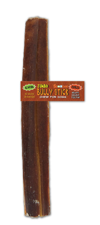 12 Inch JUMBO Bully Stick With Scoochie Cigar Band/UPC (Pack of 4)