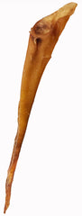 32 - 36 Inch Full Bully Stick Bulk (Pack of 2)