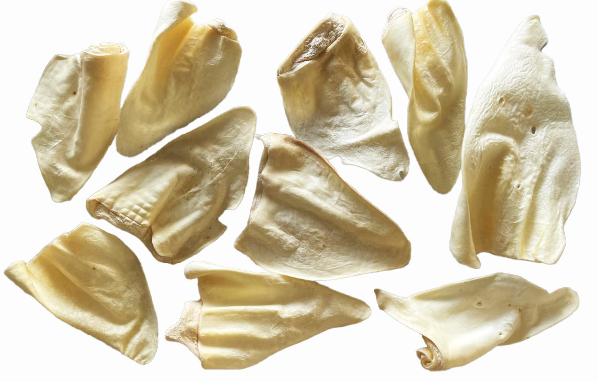 White Cow Ear Bulk (Pack of 24)