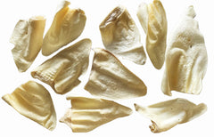 White Cow Ear Bulk (Pack of 24)