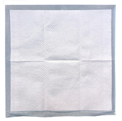 12 Piece Value Pack Training Pads 22" X 22" in Printed Peggable Bag (Pack of 16)