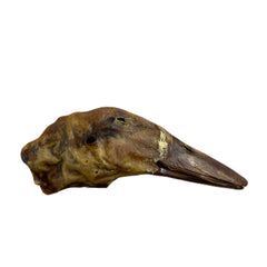 Crunchy Natural Duck Head Bulk (Pack of 10)