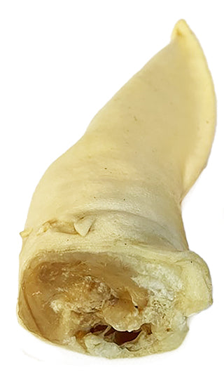 Bulk Lamb Ear (Pack of 20)
