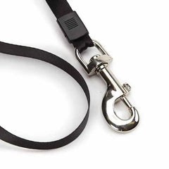 Casual Canine Belted Retractable Lead M 12ft Blu