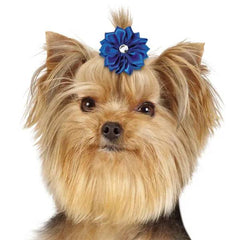Aria Rhinestone Rainbow Bows 100ct