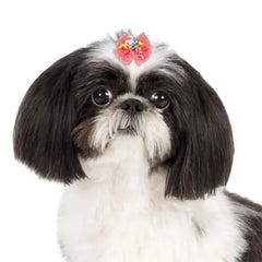 Aria Bonita Bows 100 Count