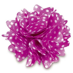 Aria Dot Rose Bows 48-Piece Canisters