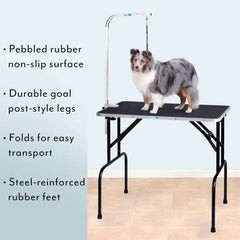 Master Equipment Dog Grooming Table with Arm 48x24x30In