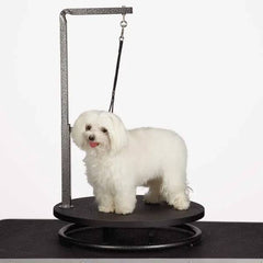 Master Equipment Small Pet Grooming Table Black
