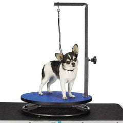 Master Equipment Small Pet Grooming Table Blue