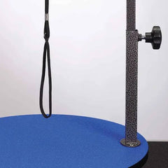 Master Equipment Small Pet Grooming Table Blue