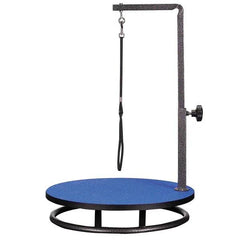 Master Equipment Small Pet Grooming Table Blue