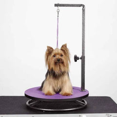 Master Equipment Small Pet Grooming Table Purple
