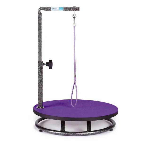 Master Equipment Small Pet Grooming Table Purple