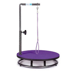 Master Equipment Small Pet Grooming Table Purple