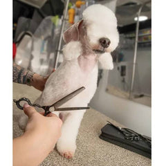 Master Grooming Tools Mushu Shears, 42-Tooth 6.5" Thinners