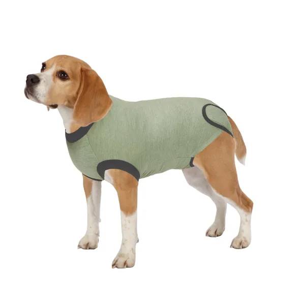 Total Pet Health Recovery Suit M