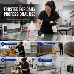 TP 256 The Original 256 Disinfectant Lavender Gallon