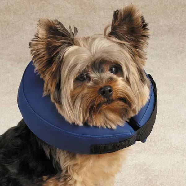 Total Pet Health Inflatable Collar M Blue