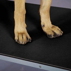 Top Performance Dog Grooming Table Mat 24x36In Black