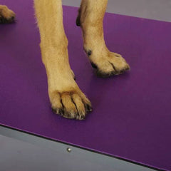 Top Performance Dog Grooming Table Mat 24x36In Purple