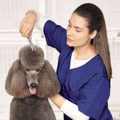 Master Grooming Tools 5900 Japanese 8In Curved Shears