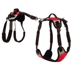 Total Pet Health Lift & Go Lead M Red