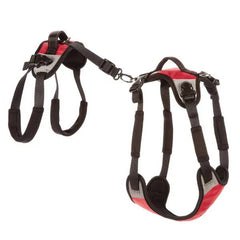 Total Pet Health Lift & Go Lead L Red