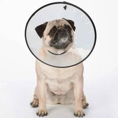 Total Pet Health Elizabethan L 12.5In Clear