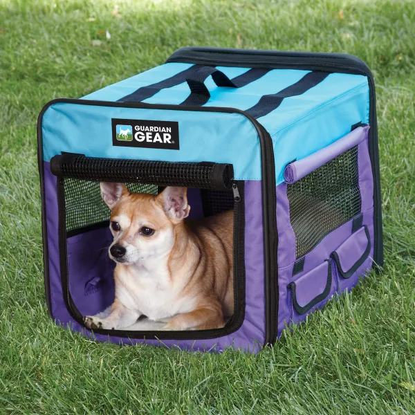 Guardian Gear Collapsible Crate XS Purple/Turquoise
