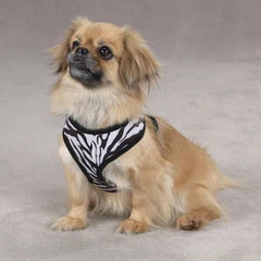 Casual Canine Plush Print Harness S Zebra