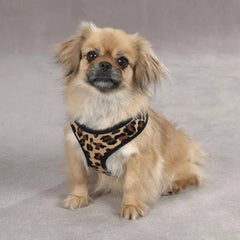 Casual Canine Plush Print Harness L Leopard