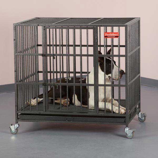 ProSelect Empire Cage L