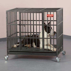 ProSelect Empire Cage L