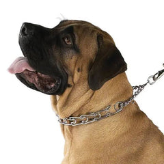 Guardian Gear Prong Training Collar 22In 3.8mm