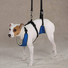 Total Pet Health Lift & Lead 4 in1 XLarge Blue