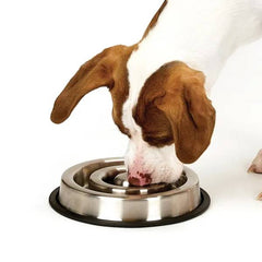ProSelect Stainless Steel Heavy Duty Slow Feeder with Non-Skid Ring Small