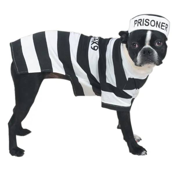 Casual Canine Prison Pooch Costume L